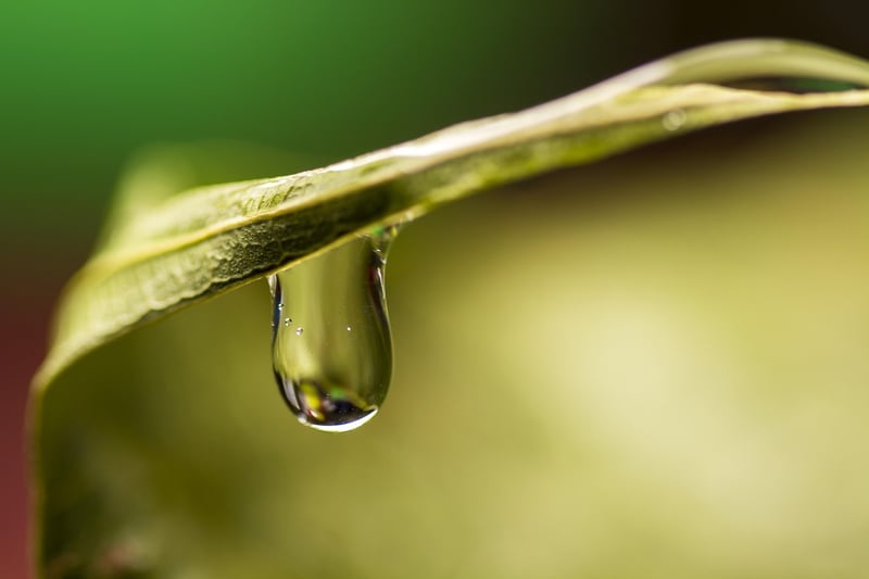 Water Conservation